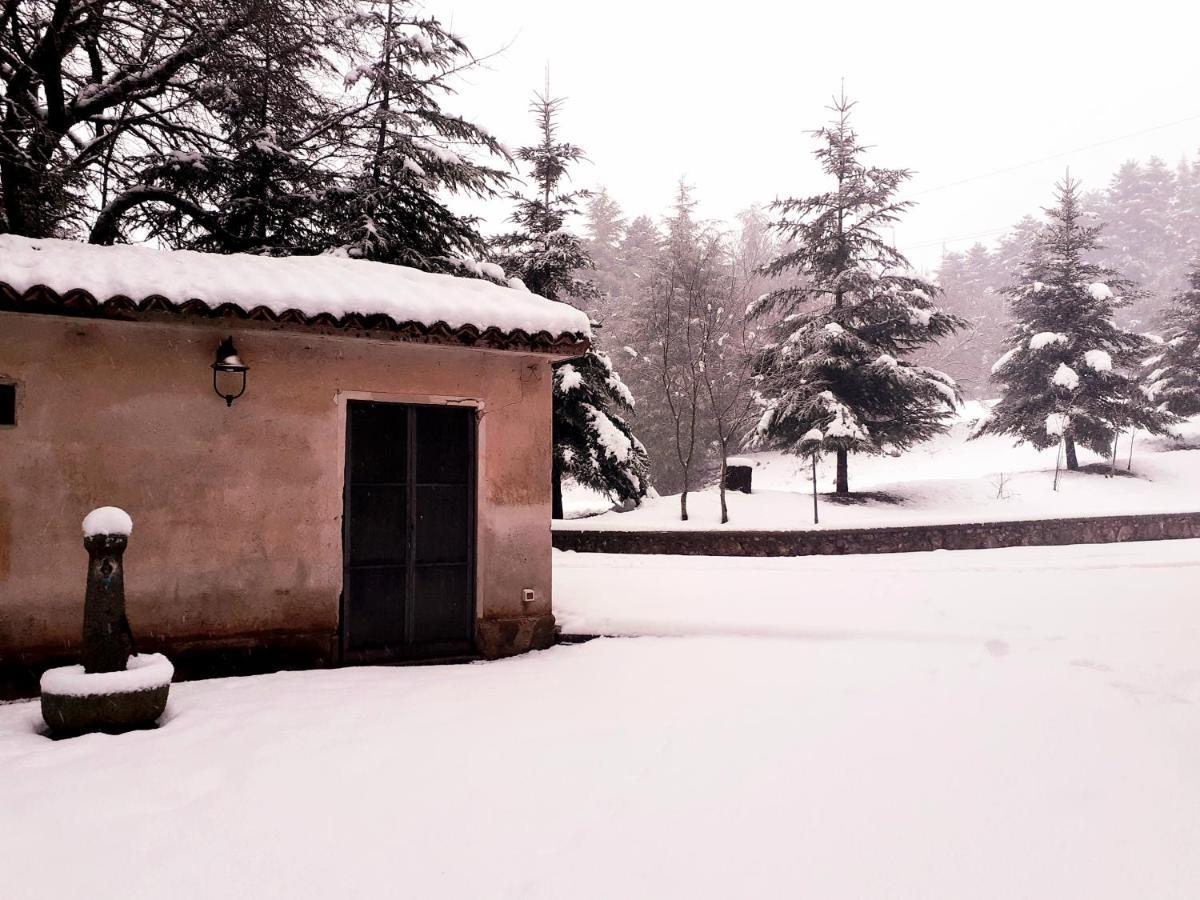 Casa Alegria Bed & Breakfast Morano Calabro Dış mekan fotoğraf